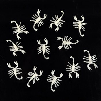Animali Fluorescenti in Rete - Assortiti (12 reti)
