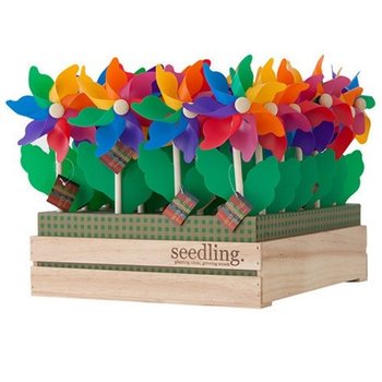 SEEDLING - GIRANDOLE IN ESPOSITORE (20 pz.)