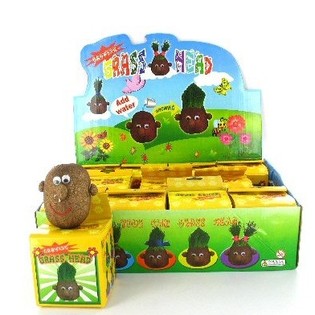 Teste d'Erba in Display (12 pz.)