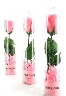 Fiori di Sapone (12 pz.)