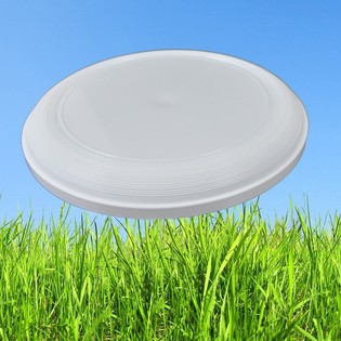 FRISBEE STANDARD 21 CM (Confezione da 25)