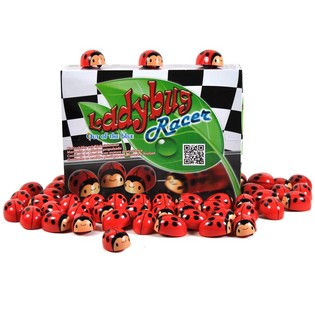 COCCINELLA A FRIZIONE IN DISPLAY (36 pz.)