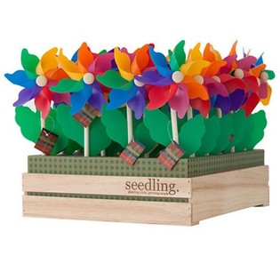 SEEDLING - GIRANDOLE IN ESPOSITORE (20 pz.)