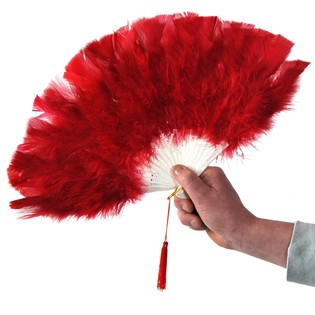 VENTAGLIO DI PELUCHE (12 pz.)