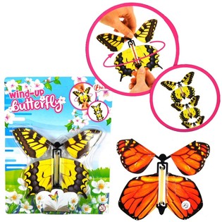 Farfalla Volante su Cartoncino (24 pz.)