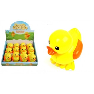 GRANDI PAPERE A CARICA IN DISPLAY (12 pz.)